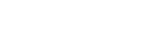 NetOptix GP